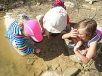 11-kids_checking_out_the_shrimp_swimming_in_the_water