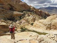 38-Kenny_finds_a_great_place_to_take_a_picture