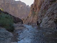 25-we_didn't_have_time_to_go_much_into_the_canyon-view_looking_back-HDR