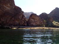 27-Lone_Palm_Canyon-Mexican_Fan_Palm-mm_62.5-AZ_side