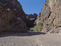 36-Boy_Scout_Canyon,NV-mm_61.75-HDR