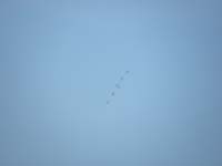105-Thunderbirds-approaching_for_Delta_burst_formation