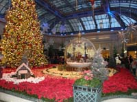 51-Bellagio_Conservatory