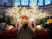 55-Bellagio_Conservatory