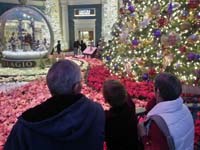57-Poppy,Kenny,Baba_admiring_Bellago_Conservatory-great_time_to_visit_during_off_season_before_Christmas_rush