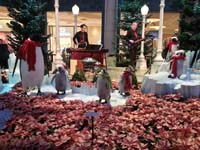 58-penguin_display_and_live_entertainment-HDR