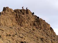 15-group_coming_down_steep_loose_section-Daddy_and_Laszlo_thought_it_was_good-from_Laszlo