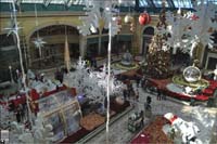 01-Bellagio_Conservatory-Dec_23