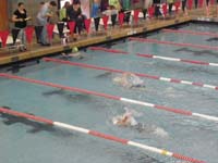 43-swimming_25-yard_freestyle-Kenny_in_middle_lane