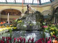 23-Bellagio_Conservatory-depending_on_translation-Year_of_Goat_or_Ram