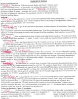 17-science_fair_speech_for_Parachute_Power