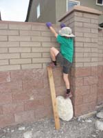 29-showing_how_to_climb_over_from_the_other_side-Daddy_placed_rock_there-wood_quicked_over_when_done