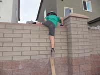 30-Kenny_now_knows_how_to_climb_up_and_over_the_wall