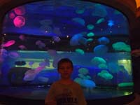 15-Kenny_and_jellyfish