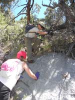 15-some_rocks_and_trees_to_climb