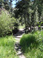 05-we_got_one_of_the_prettiest-pathway_to_creek_leading_to_table_and_firepit