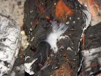 25-very_neat_wispy_smoke_and_flames_coming_out_of_the_log