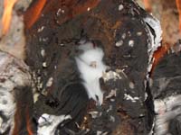 26-very_neat_wispy_smoke_and_flames_coming_out_of_the_log