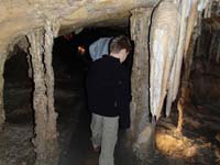 43-Kenny_among_many_columns_in_the_Swamp_Room