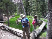 53-Kenny_and_Zoe_found_another_log_to_cross