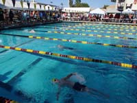 25-swimming_the_backstroke