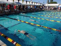 26-swimming_the_backstroke