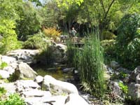 49-Shinzen_Japanese_Garden_Woodward_Park,Fresno,CA-very_neat_part_of_city_park