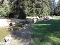 56-stream_flowing_outside_garden_in_park-not_so_clean-people_trash_it