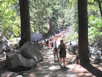 16-very_busy_trail_at_bridge_overlook-noon
