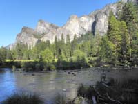 46-Kenny_among_tree_debris_along_river