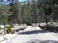 57-wooden_bridge_to_cross_Yosemite_Creek