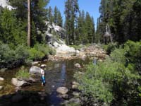 62-Kenny_was_very_happy_to_play_in_the_creek-view_upstream