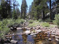 63-view_downstream-this_area_definintely_floods_in_the_Spring-look_at_the_rocks_and_tree_debris