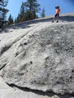 71-instead_he_climbed_this_way_up