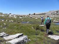 87-trail_gets_quite_wet-boulder_hop_to_minimize_damage_to_meadow