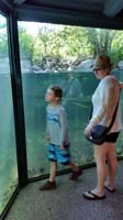10-glass_area_of_pond-great_way_to_easily_see_lots_of_wildlife