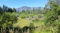 11-scenic_view-Mt._Tallac-9735_ft_in_distance-trail_to_peak,but_no_time_to_enjoy_it