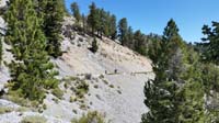 25-Bristlecone_Trail_hike_with_Darby_and_Zoe-Kenny_hiking_strong-Zoe_was_complaining_a_lot