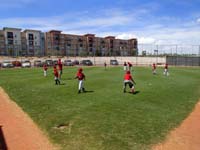 03-team_playing_catch-Kenny_gets_ready_to_catch_a_ground_ball