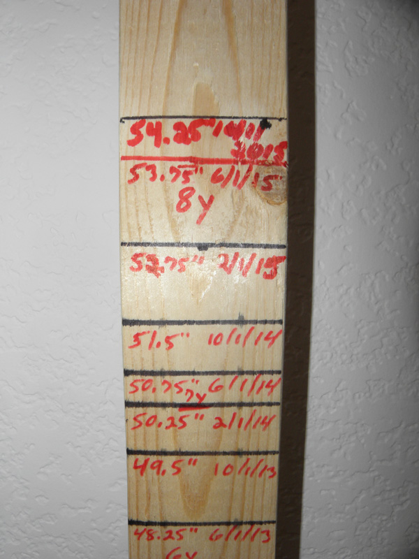 65-Kenny's_height_is_54.25_inches