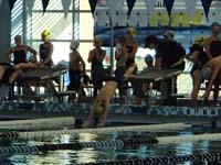 33-diving_into_the_water-needs_to_jump_out_a_little_further,but_good