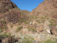 59-James_and_Bella_coming_out_of_the_side_canyon