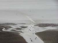 17-view_of_Badwater_from_sea_level_sign-zoom_to_people_walking_to_true_lowest_elevation