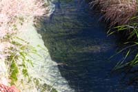12-downstream_from_Crystal_Spring