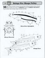 35-Junior_Refuge_Ranger_of_Southern_Nevada_Program-Ash_Meadows_NWR-12