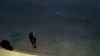 57-Mommy_snuck_in_a_shot_of_Kenny_playing_his_new_remote_controlled_car