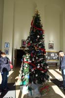 47-Baba_and_Poppy_checking_out_the_school_Christmas_Tree