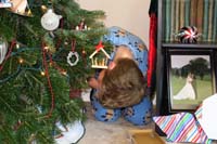68-looking_under_the_Christmas_tree_for_more_presents_like_he_doesn't_have_enough-even_though_there_are_none
