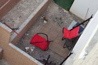 49-neighbor_dogs_that_'don't_bark'-they_don't_pick_up_poop_often_either