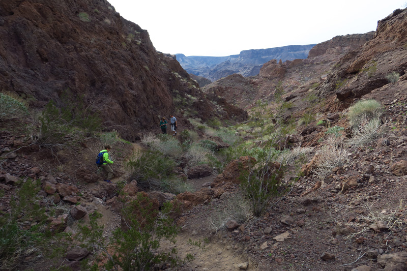 50-group_with_desert_scenery_along_trail